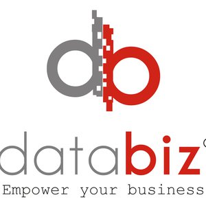 DATABIZ logo