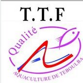 TTF-TSF logo