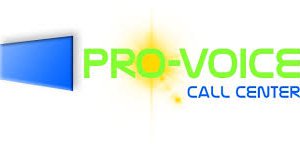 PROVOICE logo