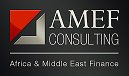 AMEF CONSULTING logo