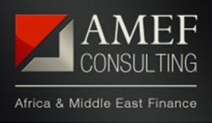 AMEF CONSULTING logo