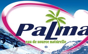 SOCEM PALMA logo
