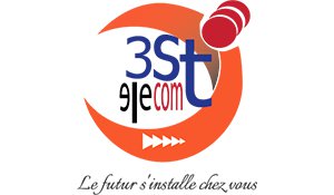 3STELECOMSECURITY logo