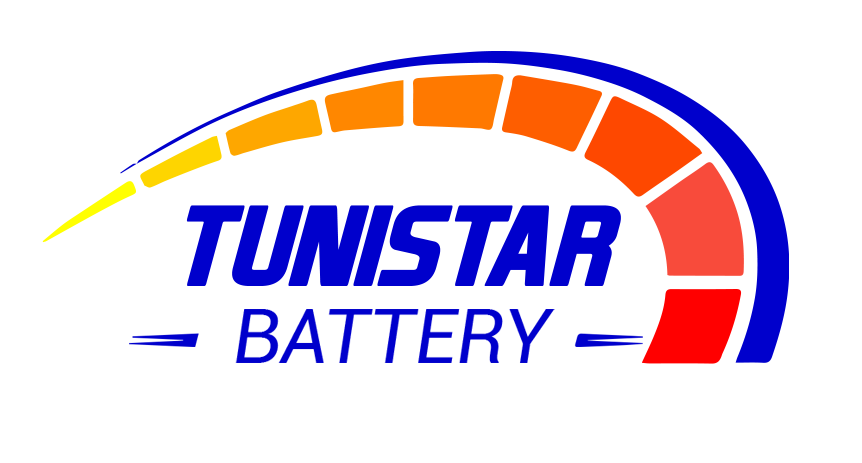TUNISTAR BATTERY logo
