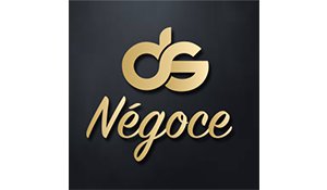 DS NEGOCE logo