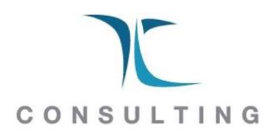 TL CONSULTING logo
