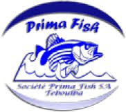 PRIMA FISH  logo