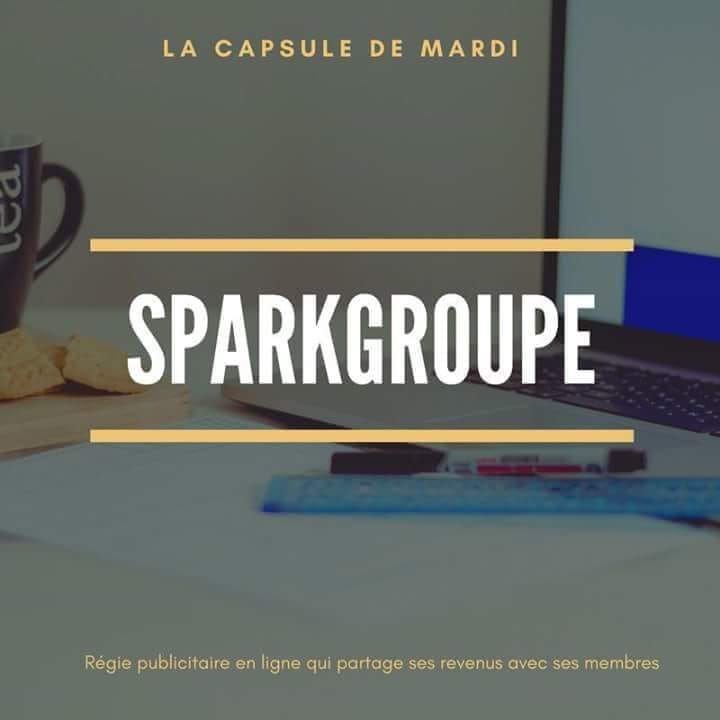 SPARK GROUP logo