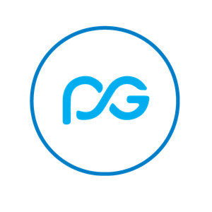 PRO FIN TECH GROUP logo