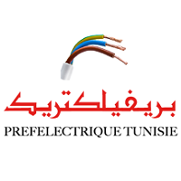 PREFELECTRIQUE logo