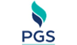 PETROGAS SYSTEMS logo