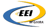 EEI logo