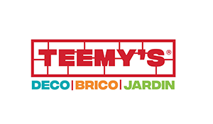 TEEMYS logo