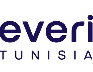EVERIENCE logo