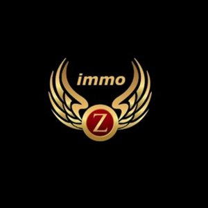 ZINA IMMO logo