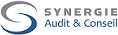 SYNERGIE AUDIT logo