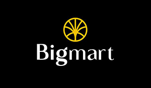 BIGMART logo