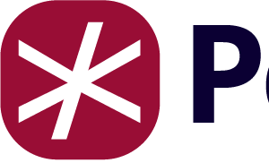 PERPETUAL CODE logo