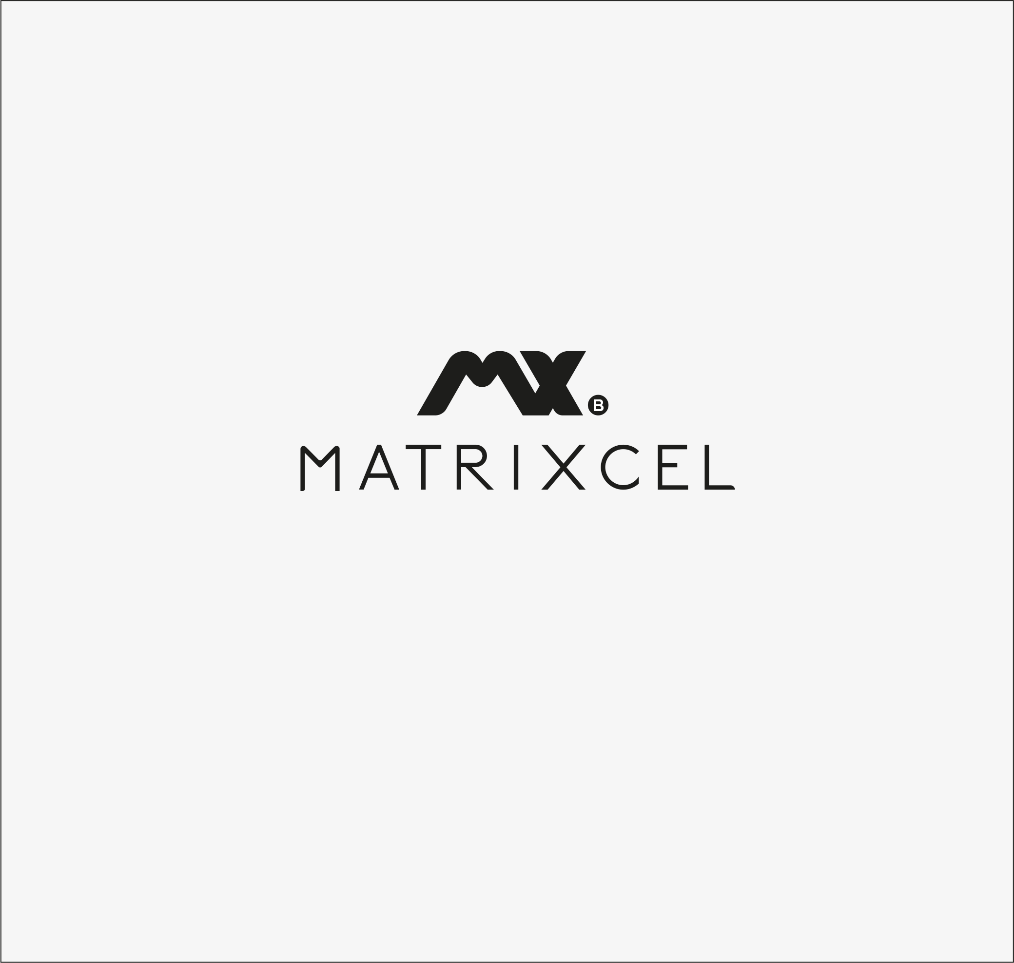 MATRIXCEL BUSINESS logo