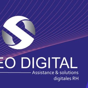 SYSTEO DIGITAL . logo