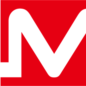 BIM PRECISION logo