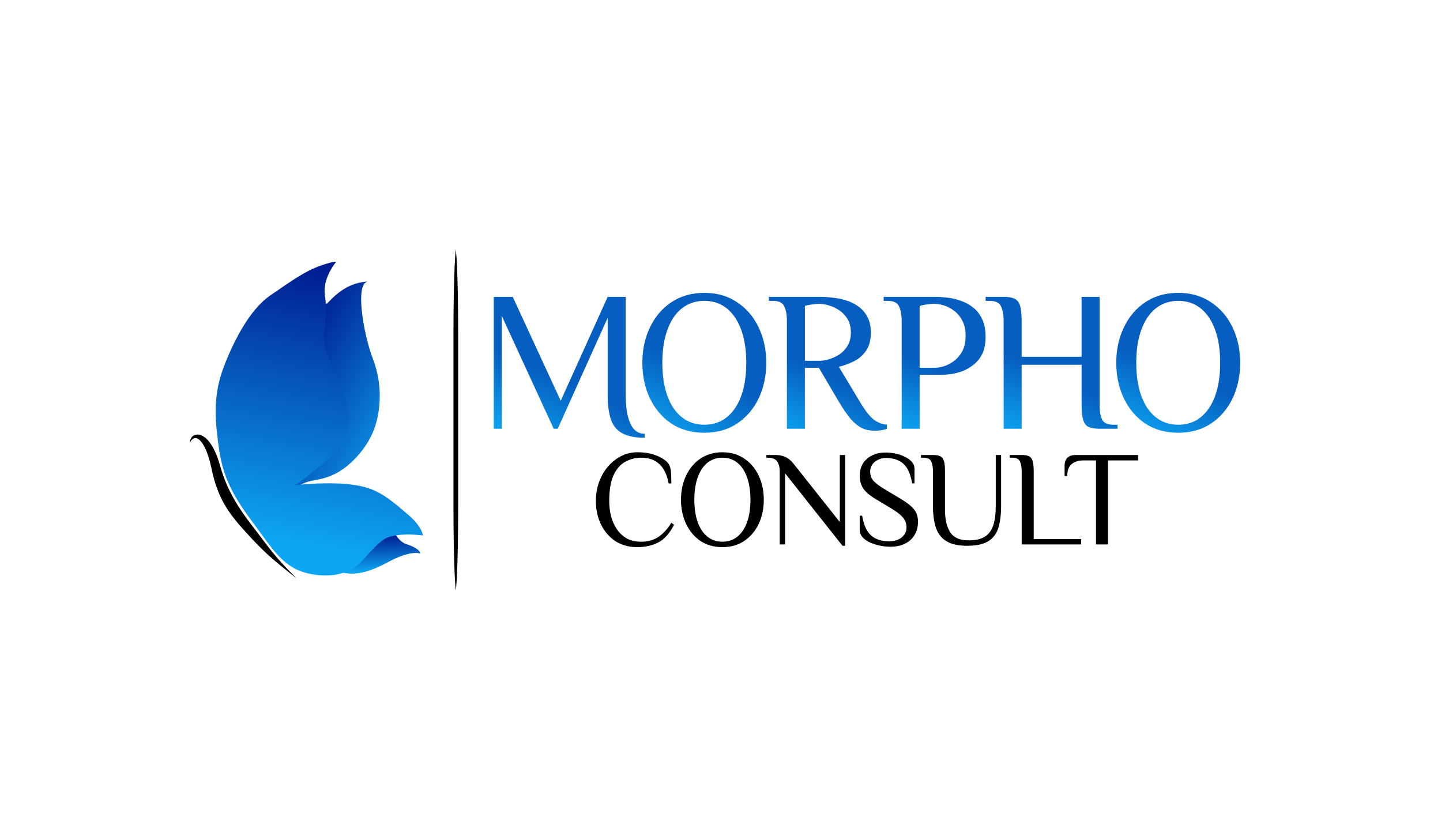 MORPHO CONSULT logo