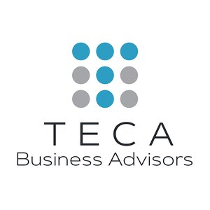 TECA BUSINESS ADVISORS logo