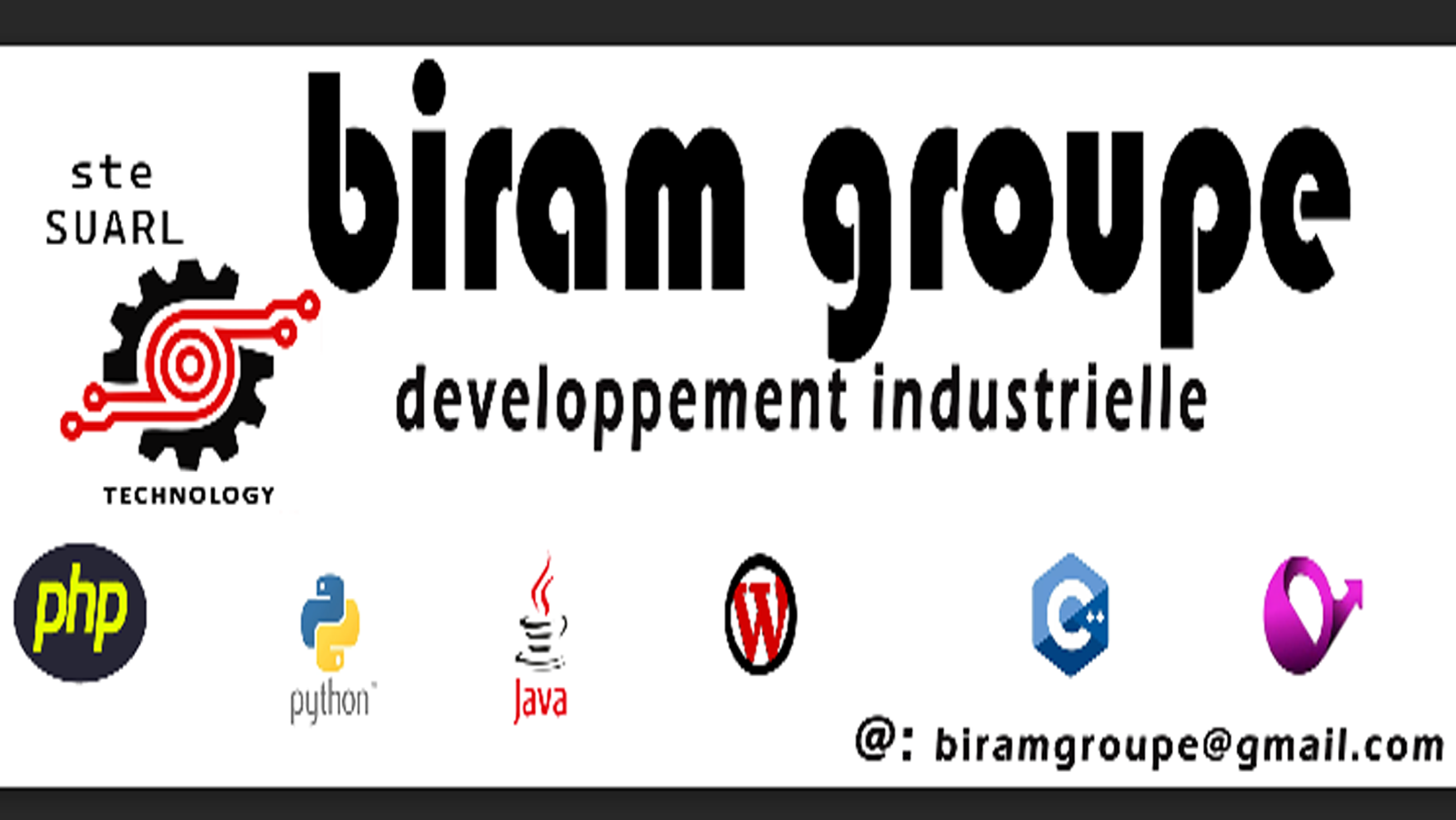 BIRAM GROUPE logo