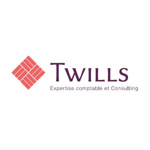 CABINET TWILLS CONSULTING logo