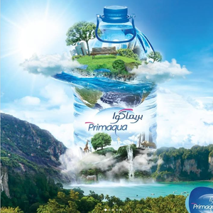 GROUPE STE D'EXPORT ET IMPORT logo