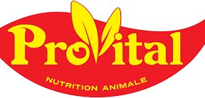 PROVITAL logo