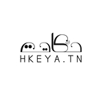 Logo DSNEGOCE