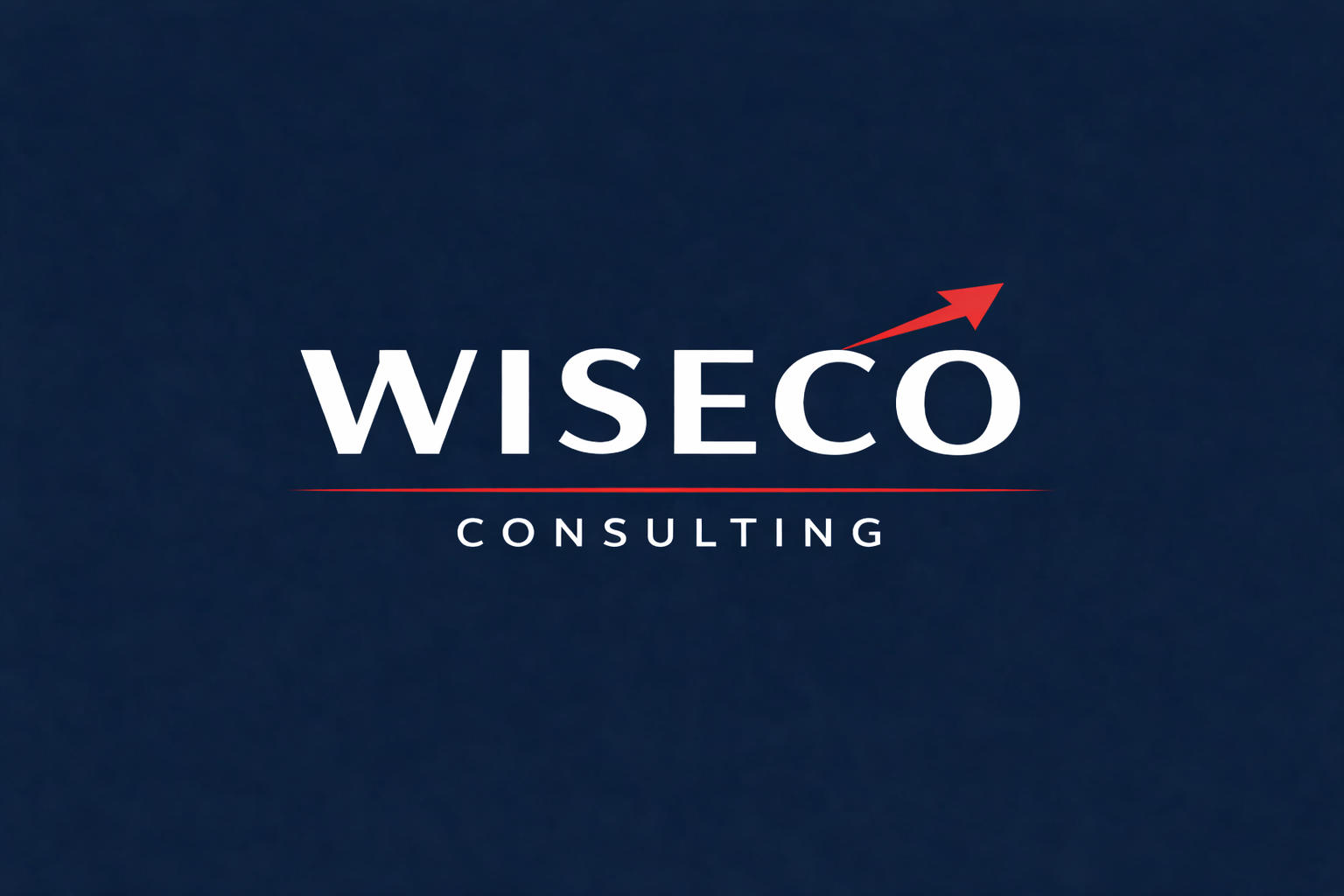 WISECO CONSULTING logo