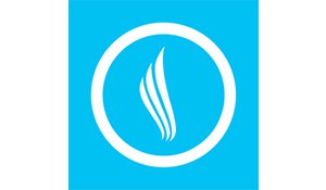 BRAINSTORM INTERNET GROUP logo